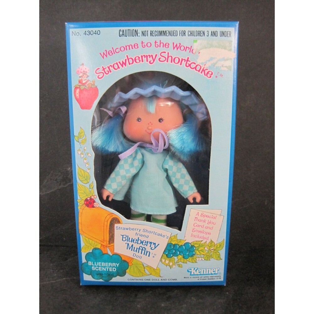 Sealed Blueberry Muffin Vintage Kenner 1980 Strawberry Shortcake Doll 43040 NEW